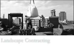 Landscape Contracting